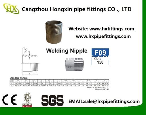 DIN2982/EN10241 فولاد کربن سیاه نوک پستانک/نوک پستانک چین تولید کننده فروش مستقیم کارخانه تامین کننده